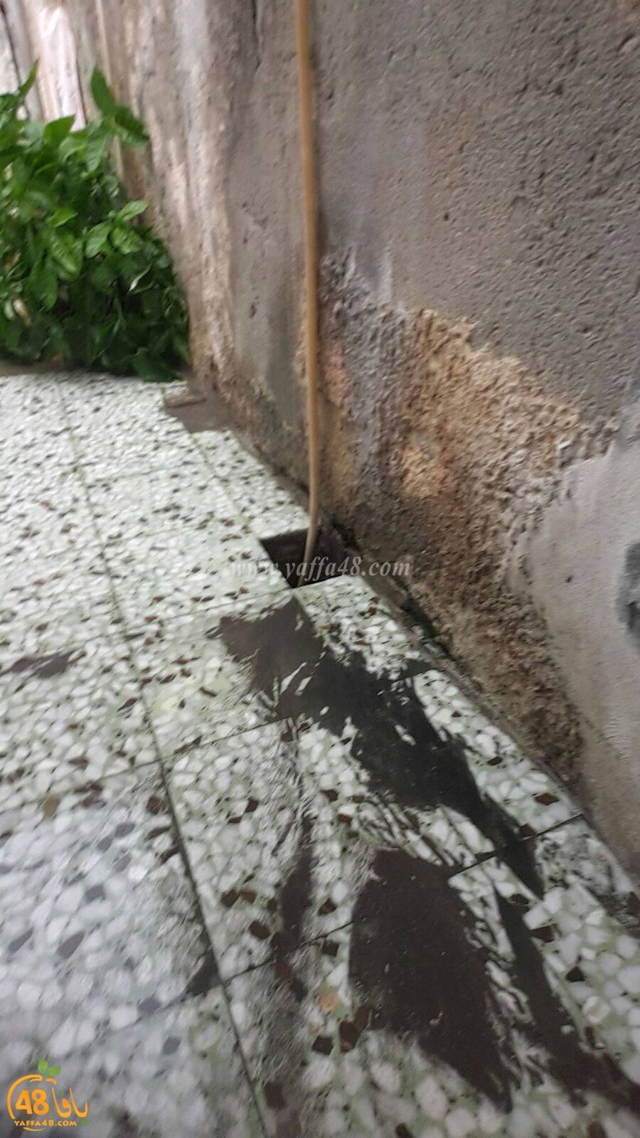 ramla majary (4).jpg